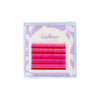 Color Volume lashes Sampler -- PINK Colour (5 lines)