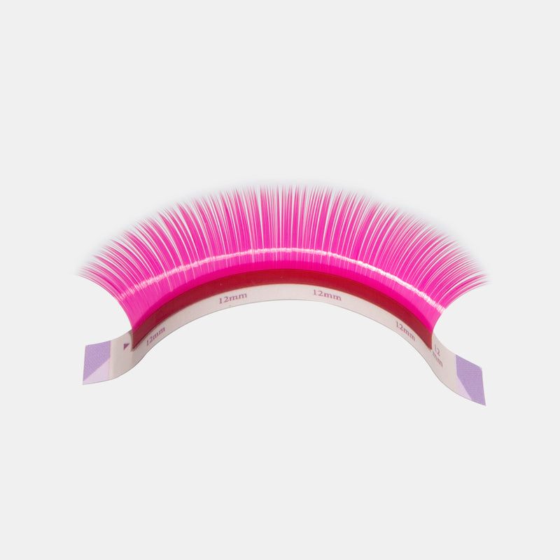 Color Volume lashes Sampler -- PINK Colour (5 lines)