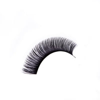 Silk Volume Lashes  DD Curl  (0.05/0.07) - Lashmer Nails&Eyelashes Supplier